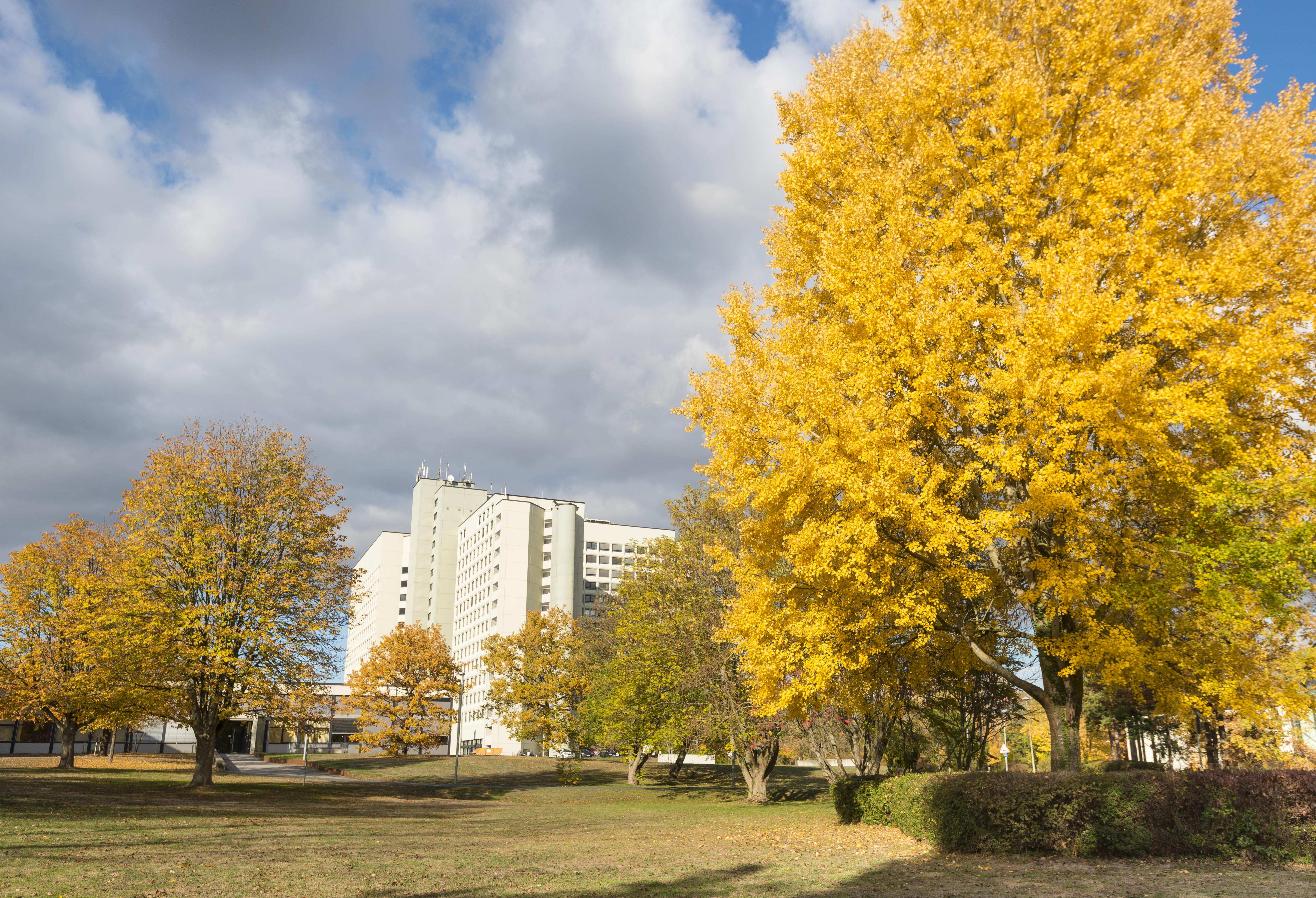 Campus im Herbst